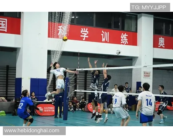 成都排球队在欧锦赛中的蜕变与新篇章探索之旅