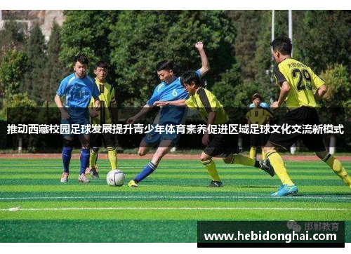 推动西藏校园足球发展提升青少年体育素养促进区域足球文化交流新模式