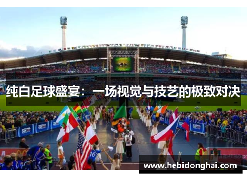 纯白足球盛宴：一场视觉与技艺的极致对决