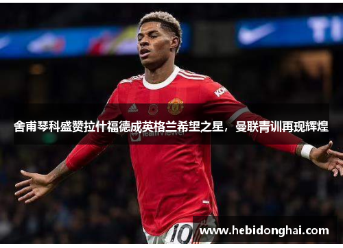 舍甫琴科盛赞拉什福德成英格兰希望之星，曼联青训再现辉煌