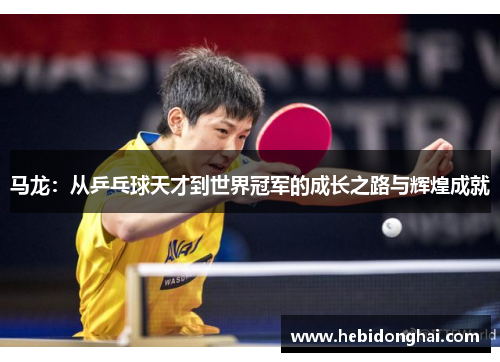 马龙：从乒乓球天才到世界冠军的成长之路与辉煌成就