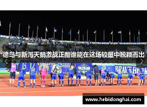 德岛与新泻天鹅激战正酣谁能在这场较量中脱颖而出